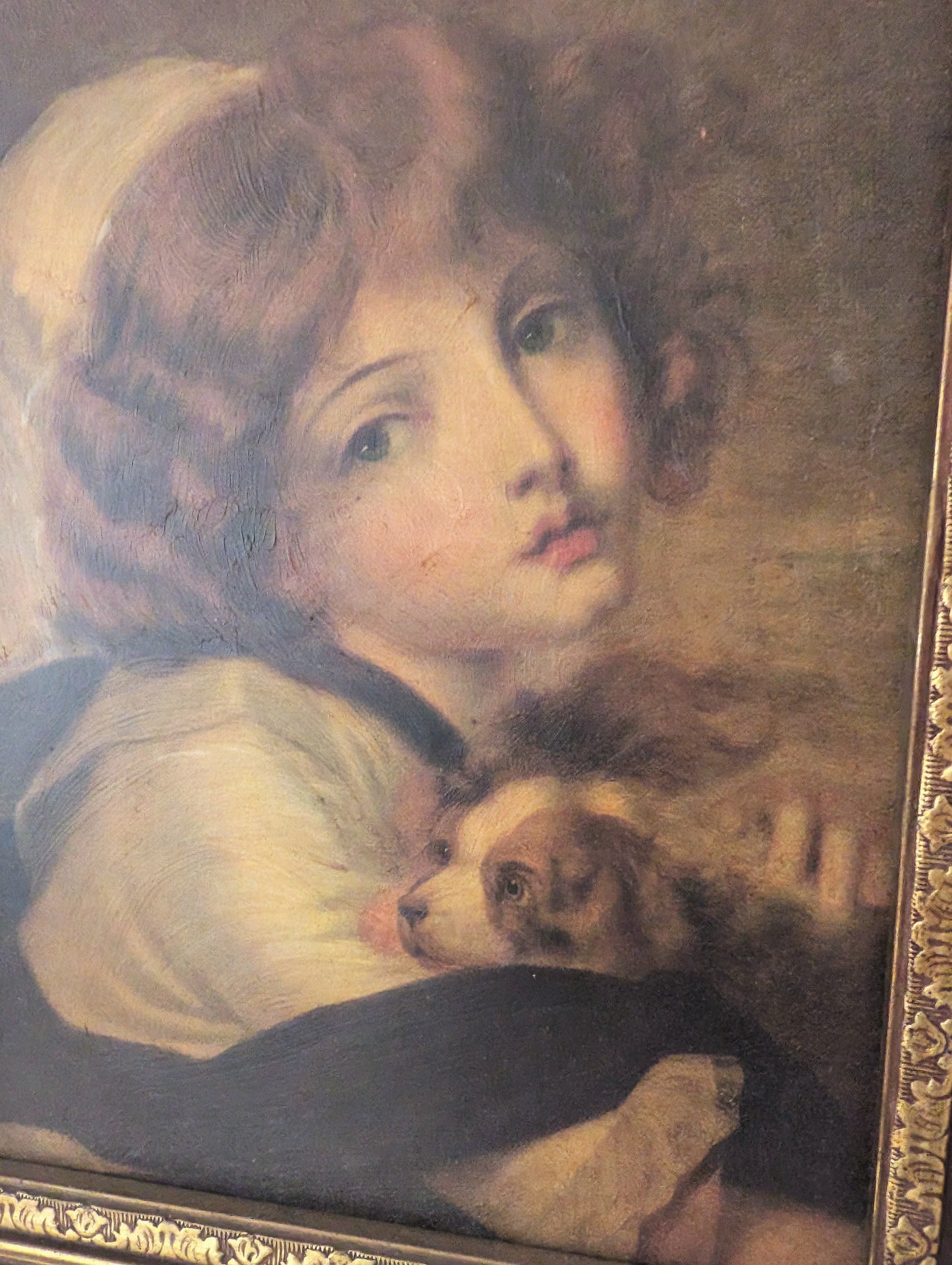 Juene Fille Au Petite Chien
